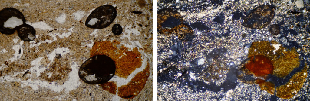 Microphotographs of our Thin Sections
