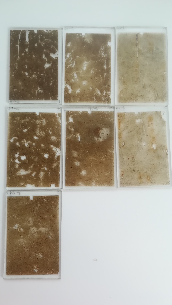 Micromorphological thin sections from Netherlands soils
