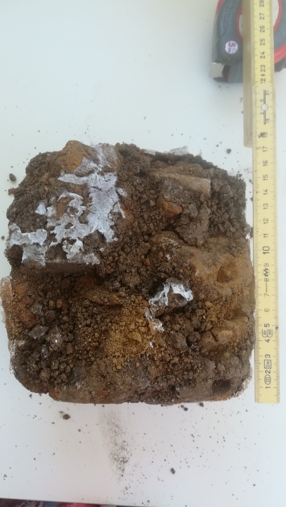 Thin sections from a Neolithic furnace in Jordan