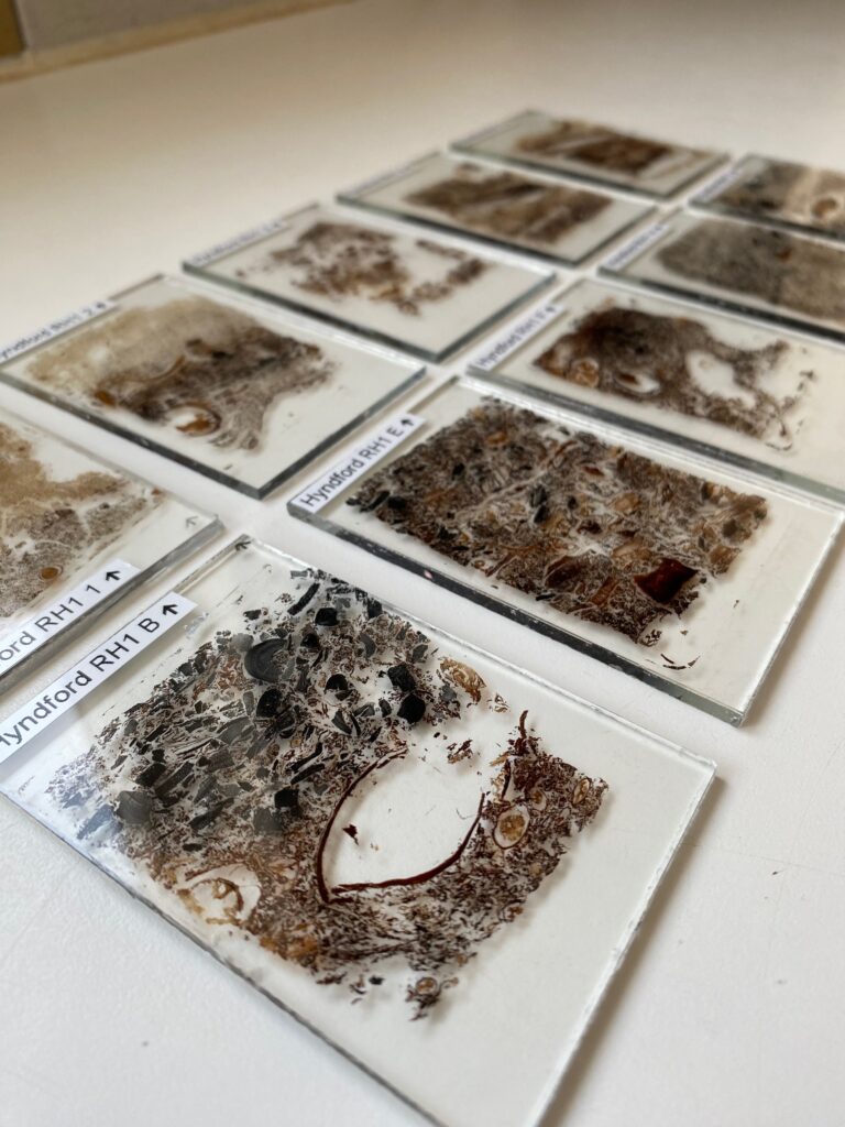 Micromorphological thin sections from roundhouses