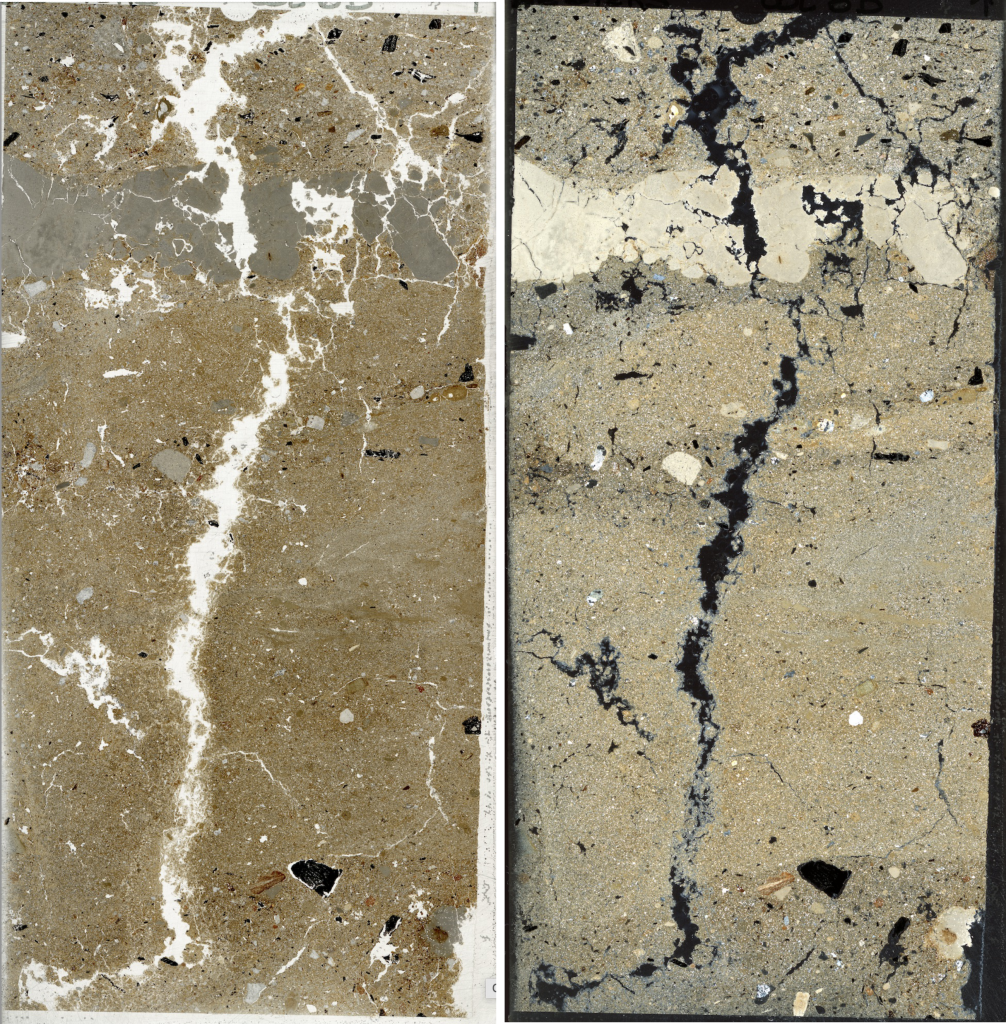 PPL and XPL of mammoth thin section