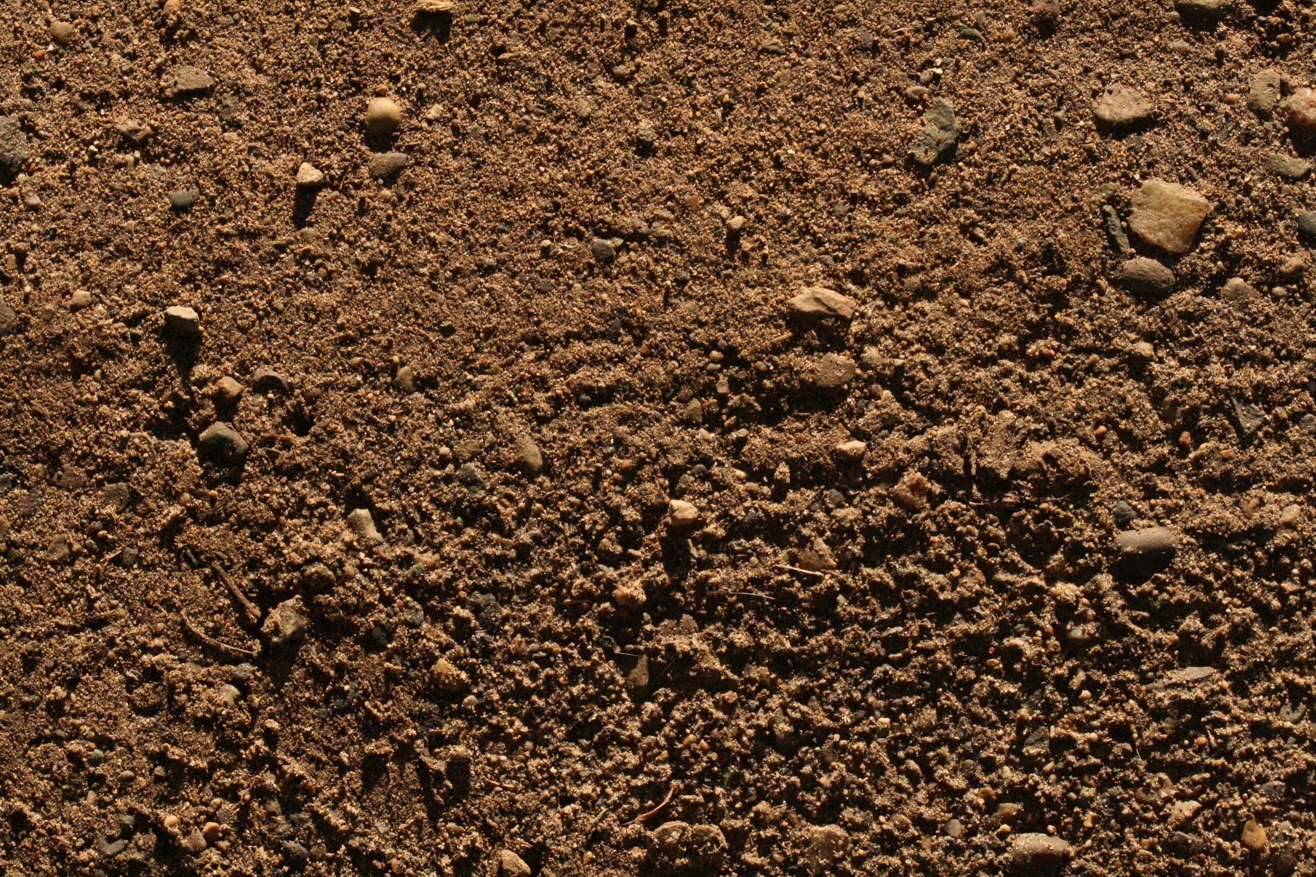 soil