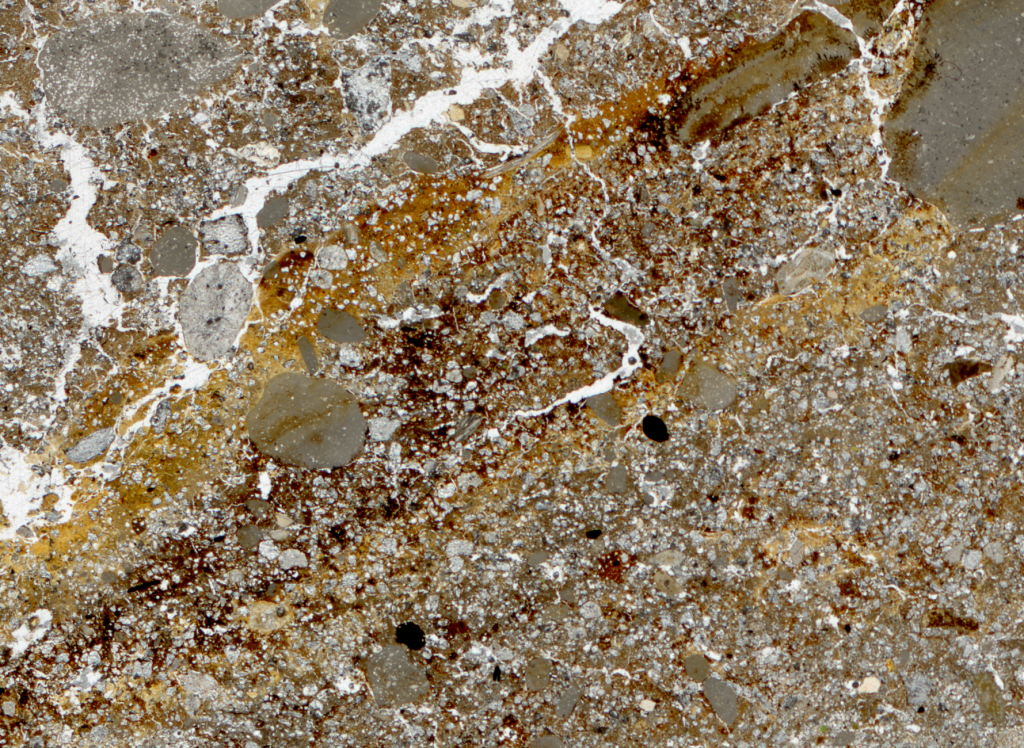 View of the trackway formation (PPL scan)