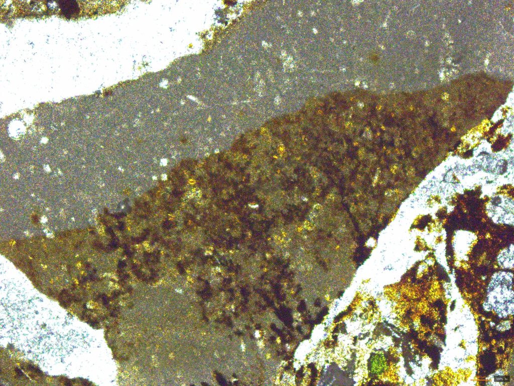 Organic staining at the surface of mineral inclusions (PPL)